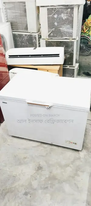300-Liter Deep Freezer for Sale