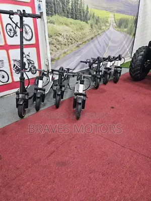 Zongshen ebike 2025