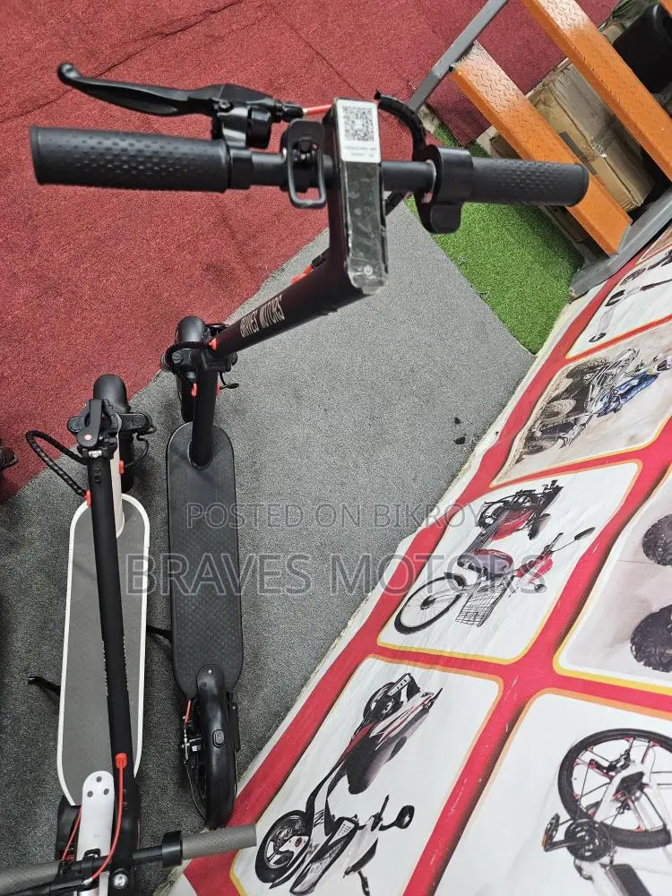 Zongshen ebike 2025