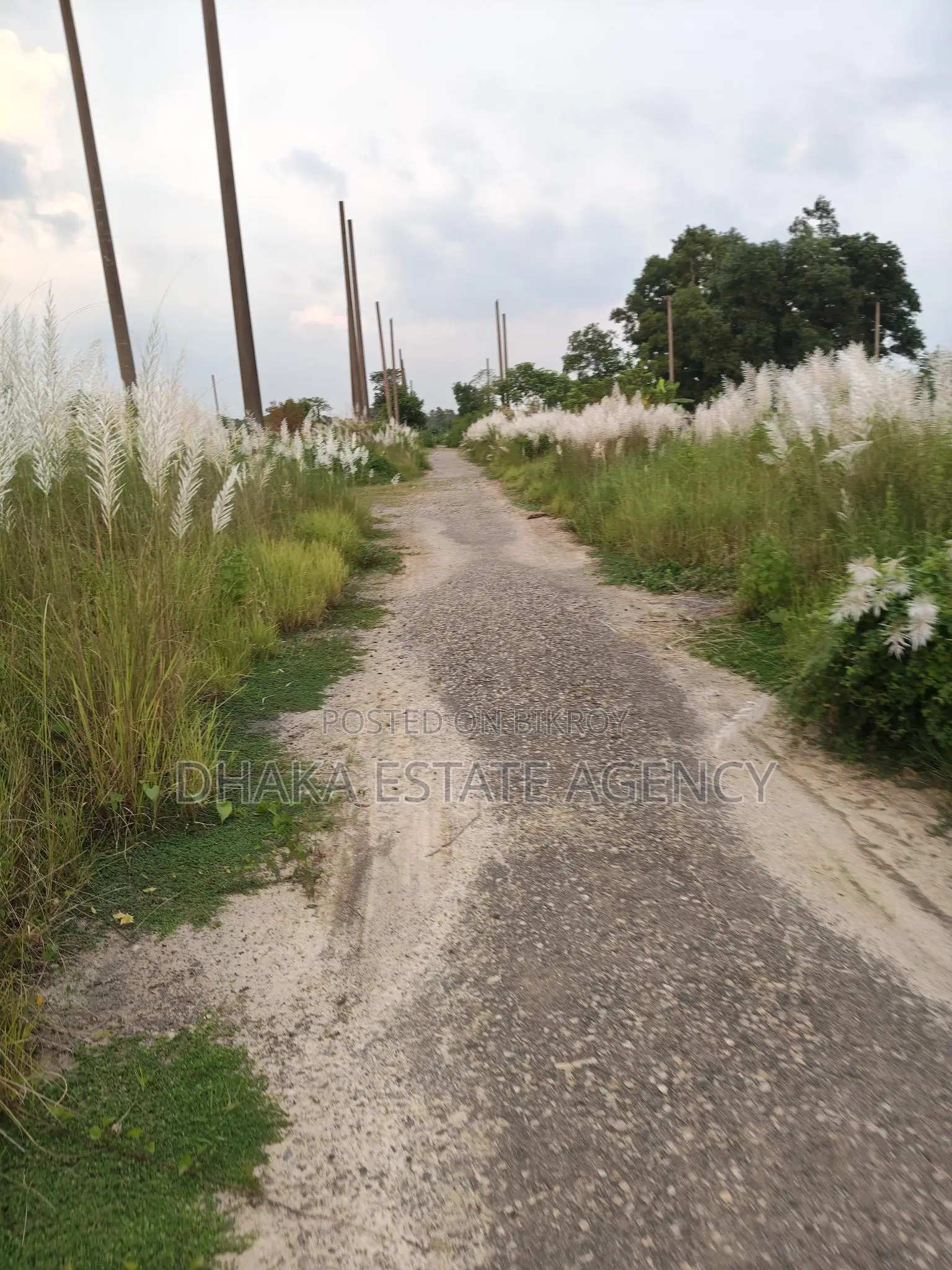 সেক্টর ১৮ জরুরী টাকার দরকারে ৭.৫০ কাঠা প্লট বিক্রয়
