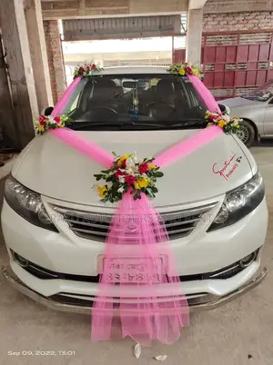Alion Car For Rent