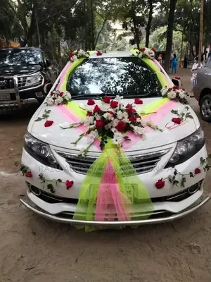 Alion Car For Rent