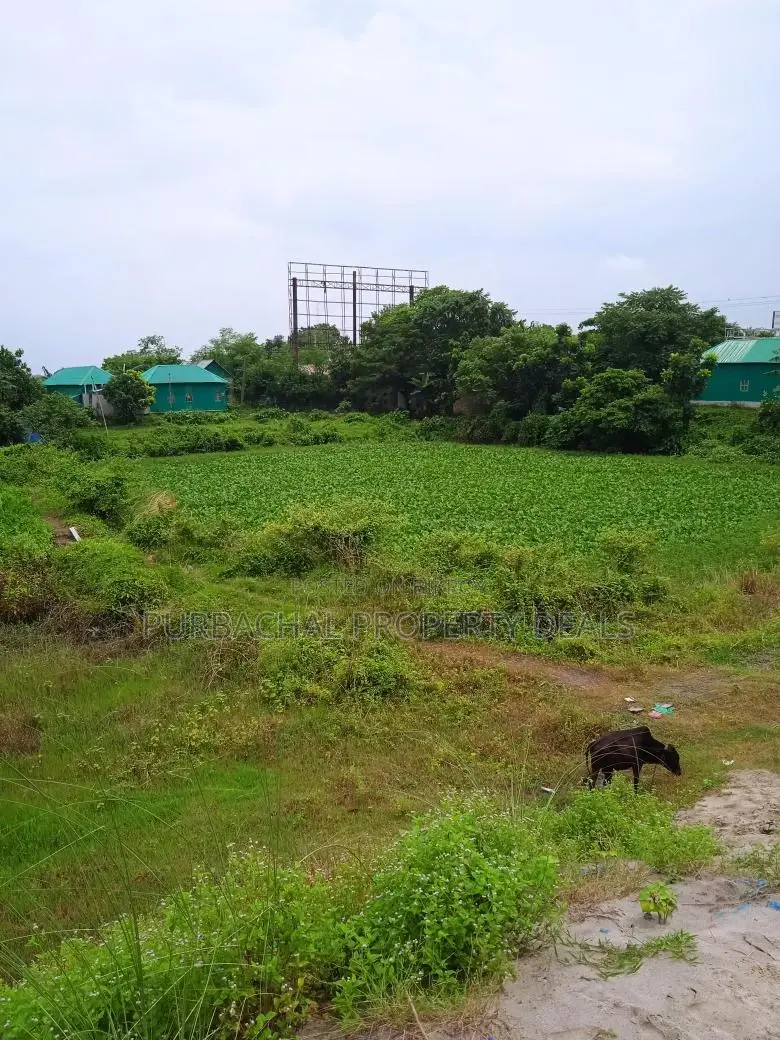 80 Bigha River-View Land by the Meghna River — Perfect Location for a Royal Project!