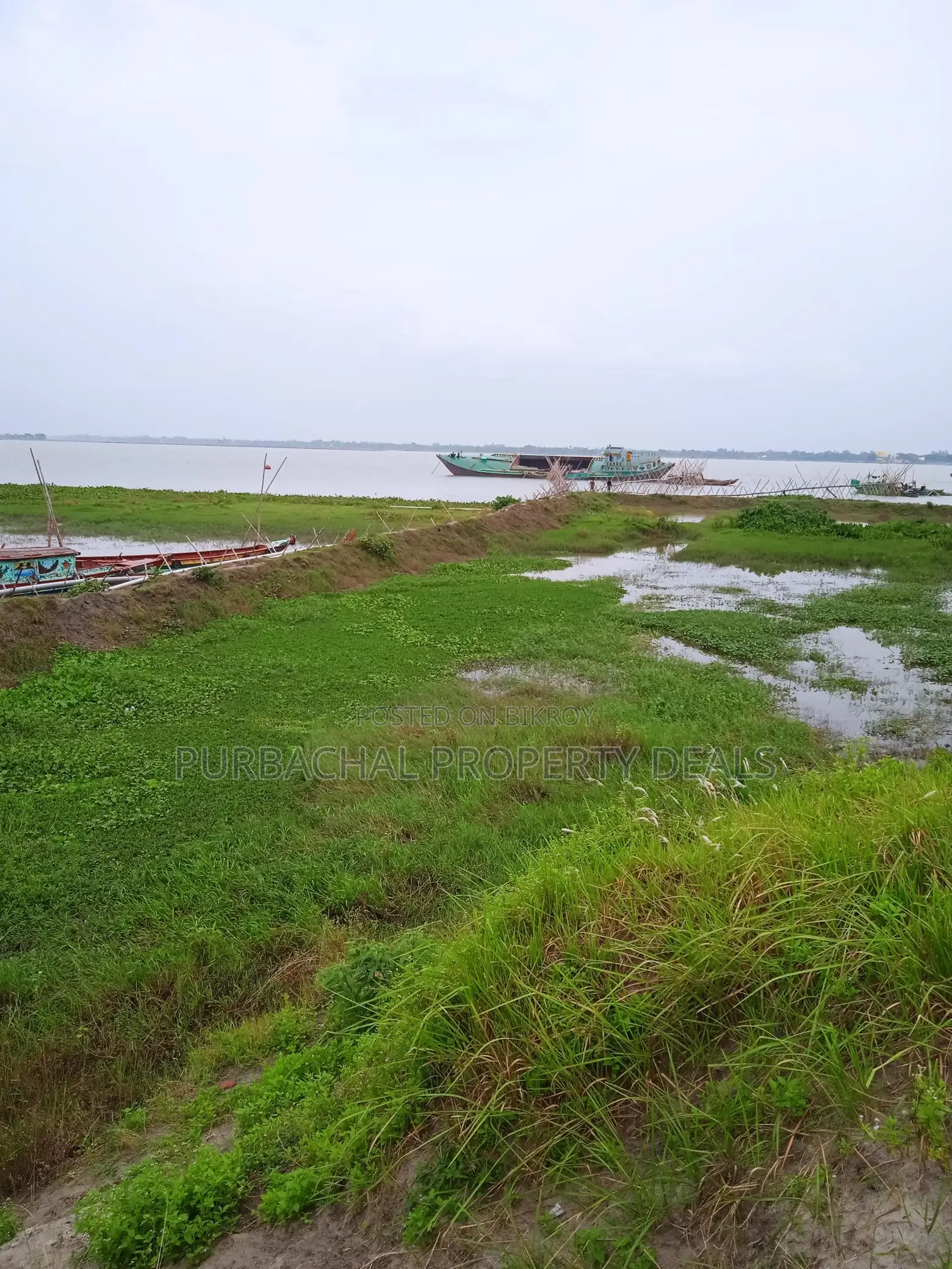 80 Bigha River-View Land by the Meghna River — Perfect Location for a Royal Project!
