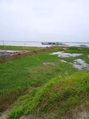 80 Bigha River-View Land by the Meghna River — Perfect Location for a Royal Project!