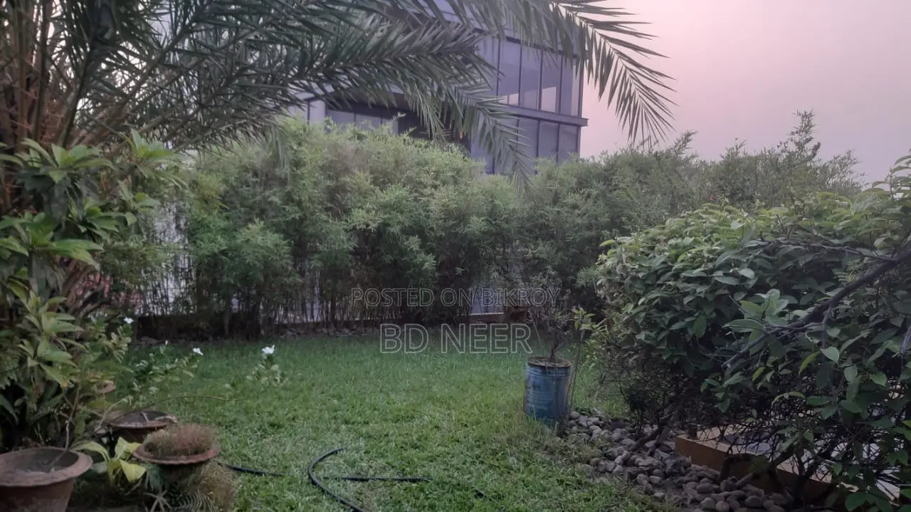 Dupleix Semi Furnished 4 Bed Room Flat Rent in Baridhara DIP