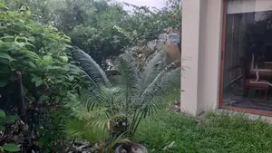 Dupleix Semi Furnished 4 Bed Room Flat Rent in Baridhara DIP