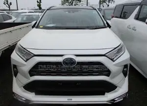 Toyota RAV4 G - 4WD BodyKit 2019