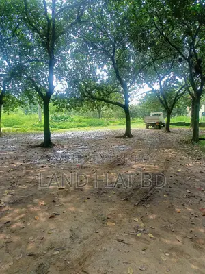 নিরিবেরি পরিবেশে বসবাসের উপযোগী @ 10 কাঠা প্লট বিক্রয় করা হইবে