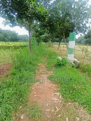 10 Katha Plot for Sale, Suitable for Living in a Quiet Environment