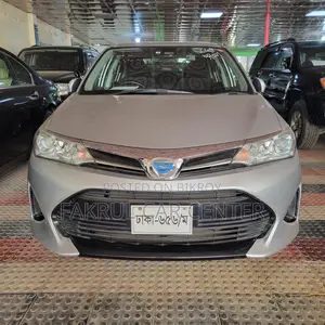 Toyota Axio G 2019