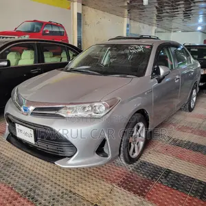 Toyota Axio G 2019