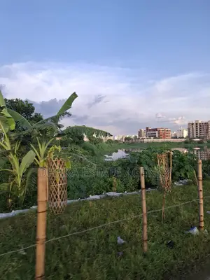 ৬০×৩০ কর্নার ডিরেক্ট লেক ফেসিং প্লট