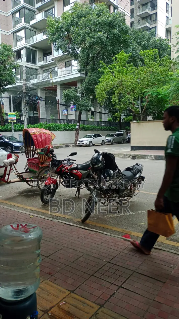 Fully Furnished 4-Bedroom Flat Rent in Baridhara Diplomatic Area