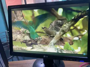 LG 19 inch Monitor/Full Fresh