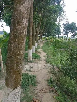 Affordable, clean plots in B Block - 3/5/10 katha land for sale