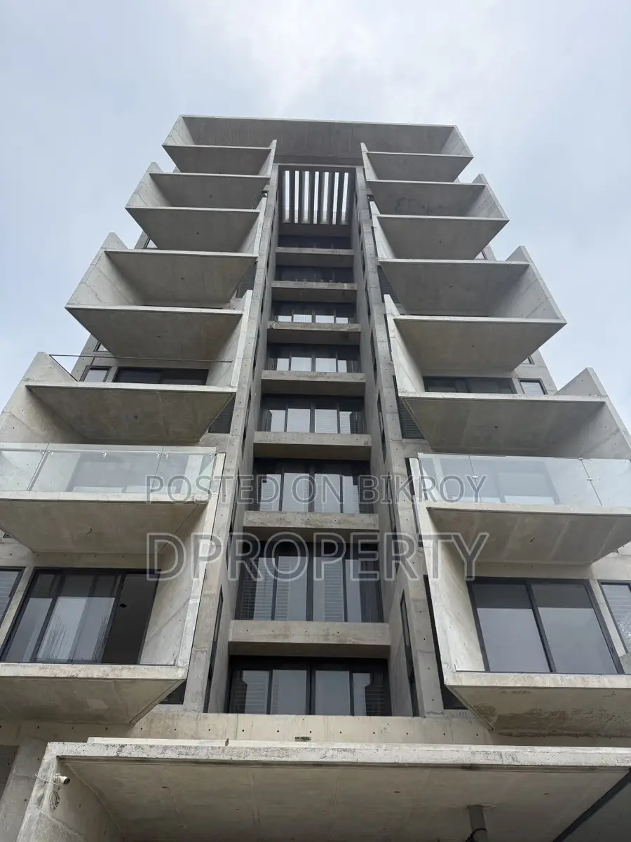 Full Building Brand New Fairface South-Facing Rent at Bashundhara R/A
