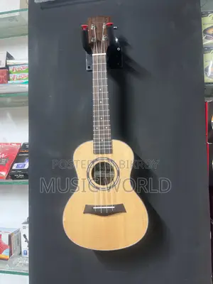 Sqoe brand Ukulele 24 inch on wholesale prise