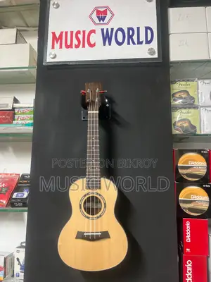 Sqoe brand Ukulele 24 inch on wholesale prise