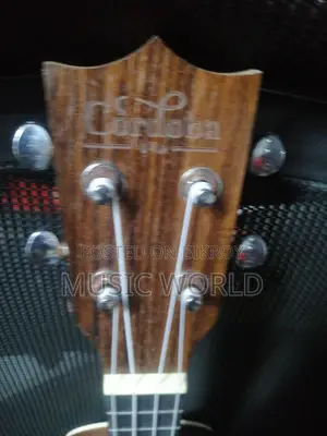 Cordoba brand ukulele 24 inch