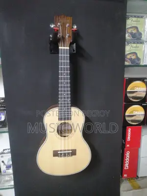 Cordoba brand ukulele 24 inch
