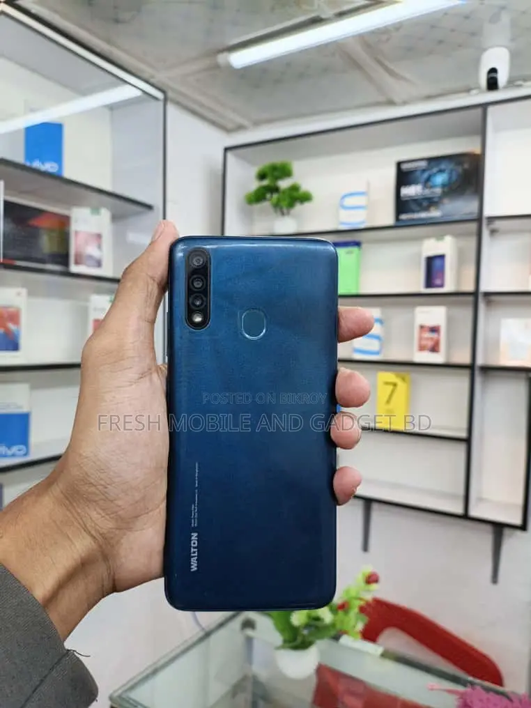 Walton Primo RM 4/64 (Used)