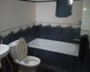 Bashundhara Nice Fully Furnished Apartment