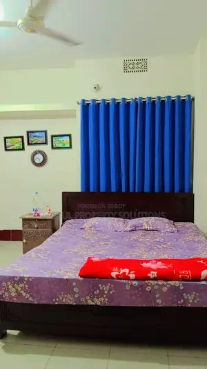 Full Furnished Apartment At Banasree