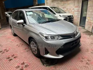 Toyota Axio EX PKG SILVER / 2020