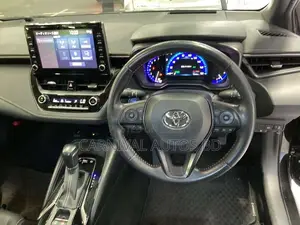 Toyota Corolla WxB Package Black 2020