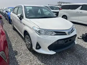 Toyota Axio EX HYBRID PEARL 2021