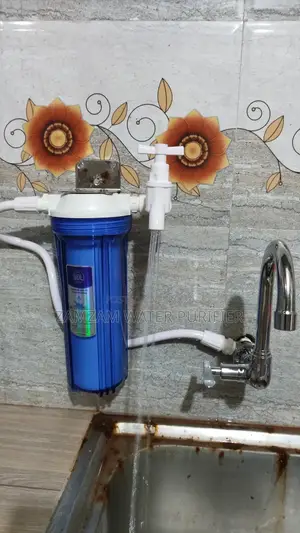 Make Your Cooking and Bathing Water 100% Iron-Free with 10" Mini Filter