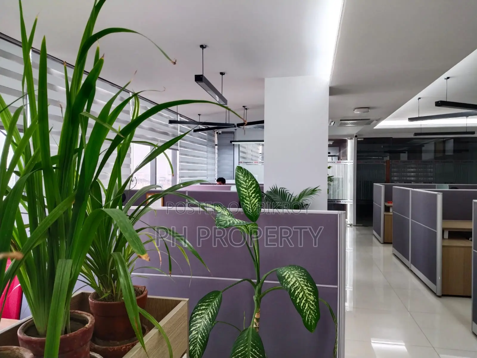 Banani Commercial Furnished Office