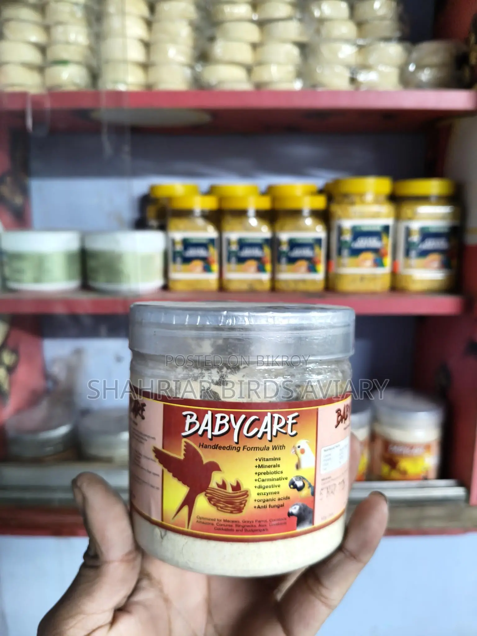 পাখির হেন্ডফিট