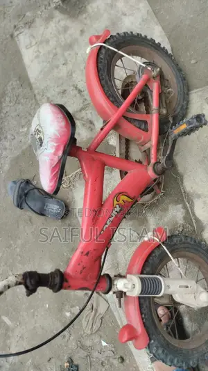 Baby Cycle
