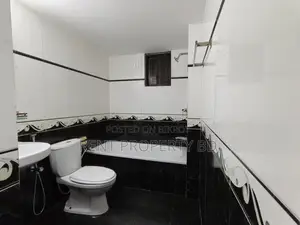 Bashundhara Fully Furnished Apartment for Rent