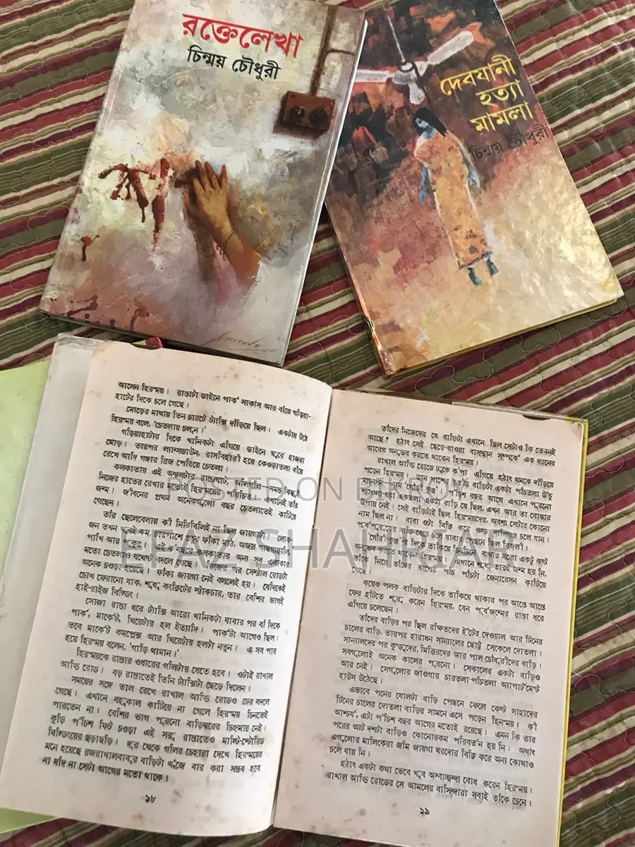 Bengali Stories & Novels Set