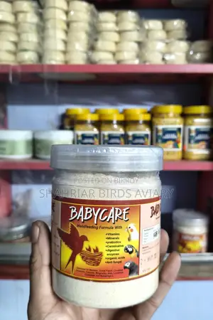 পাখির হেন্ডফিট