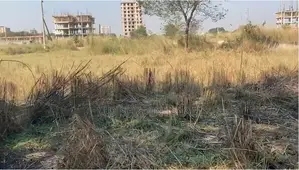 Aftabnagar Block-M, Sector-05, Avenue Road No-13, Plot No-12 and 14