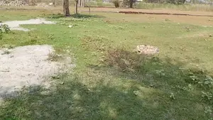 4.95 Decimal Private Land for Sale