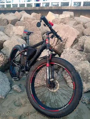 Bicycle for sale