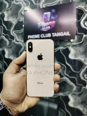 Apple iPhone XS (256 GB) (Used)