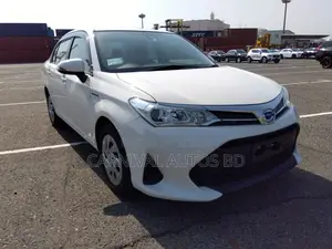 Toyota Axio EX PACKAGE 2020
