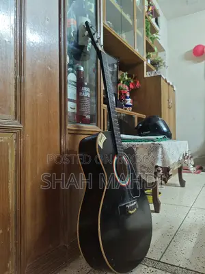 Indian Gibson Guitar