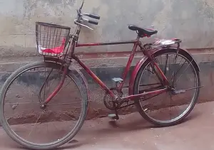 Duranta Bicycle for Sale