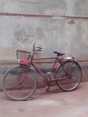 Duranta Bicycle for Sale