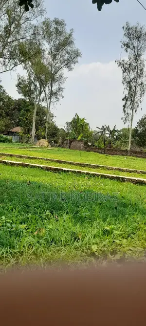 High-Quality Land for Sale