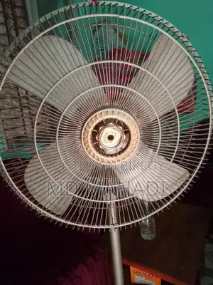 Fan for Sale