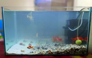 Aquarium Crystal Glass