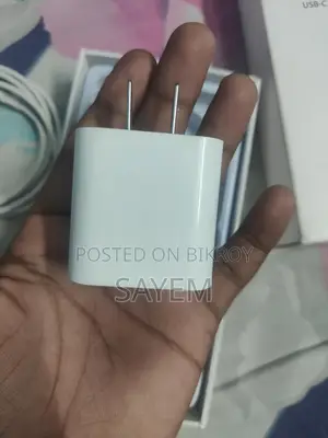 20w Type-C to Lightning Port